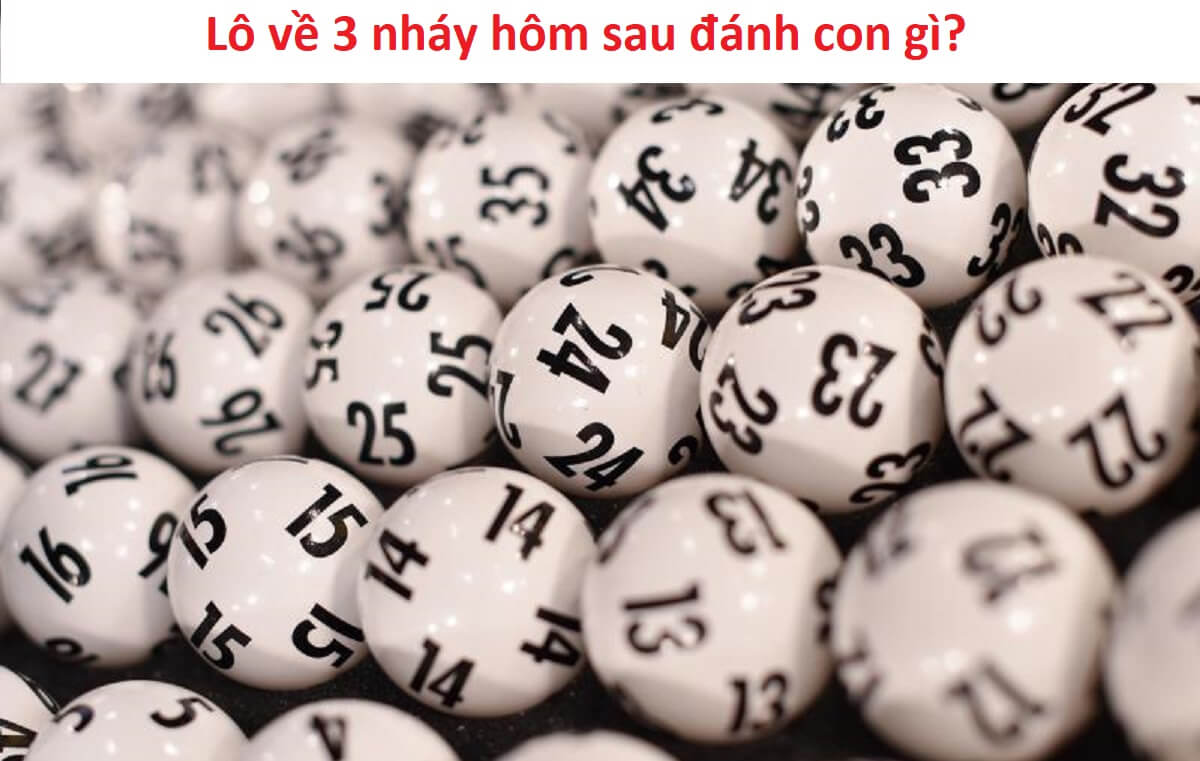 Lô về 3 nháy hôm sau đánh con gì?